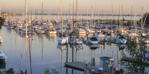 Ballena Isle Marina