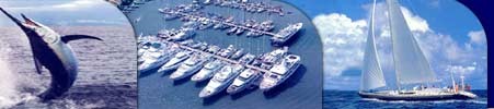 American Yacht Harbor