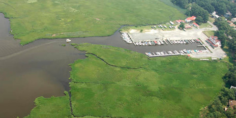 Vines Creek Marina