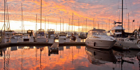 Elliott Bay Marina