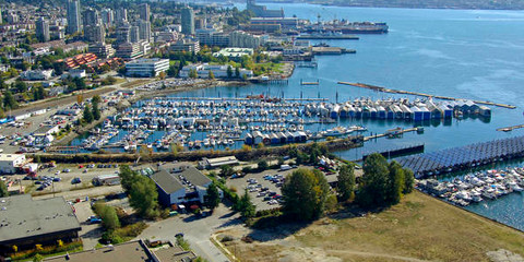 Mosquito Creek Marina