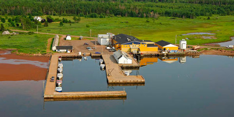 Abrams Village Harbour