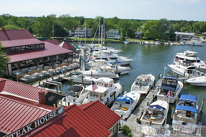 St Michaels Marina