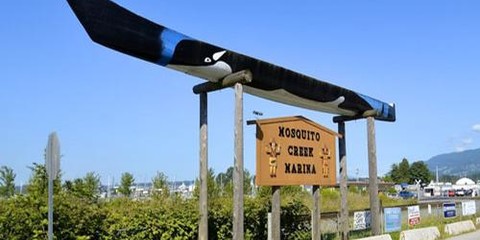 Mosquito Creek Marina