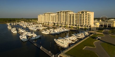 The Wharf Marina