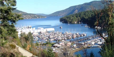 Maple Bay Marina