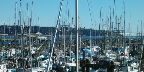 Campbell River Harbour Authority