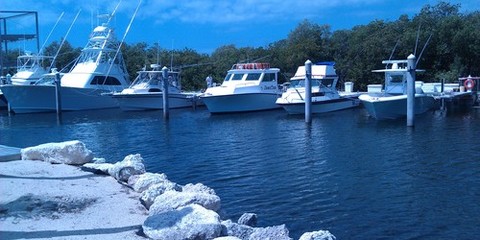 Bud N’ Mary’s Fishing Marina