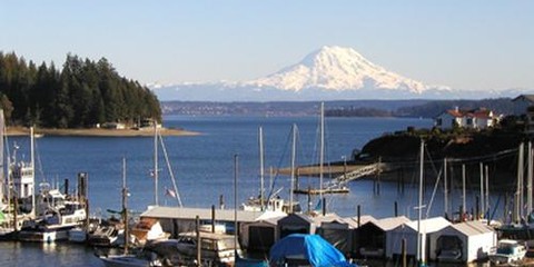 Longbranch Marina