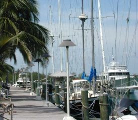 Lighthouse Yacht Club & Marina