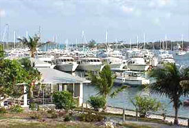 Green Turtle Club & Marina