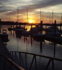 Fort McAllister Marina