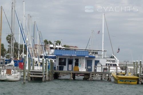 Clearwater Beach Marina