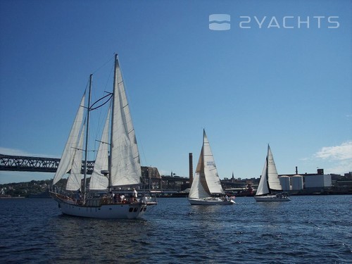 Borden Light Marina