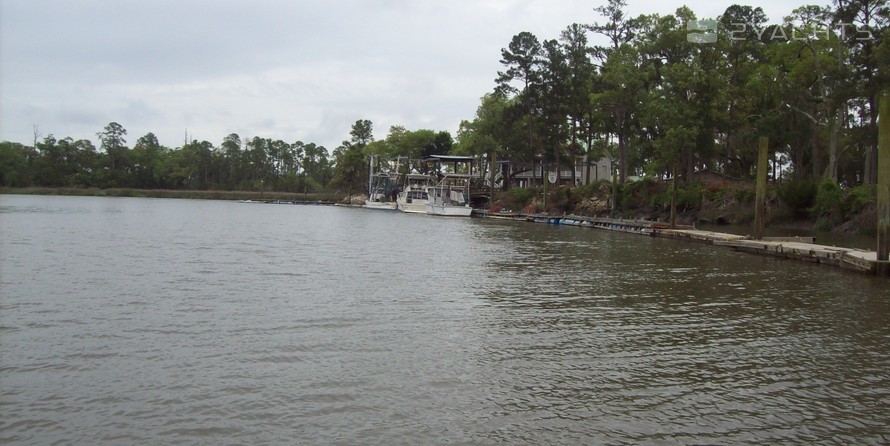 Belle Bluff Marina