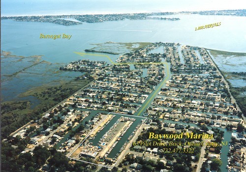 Baywood Marina