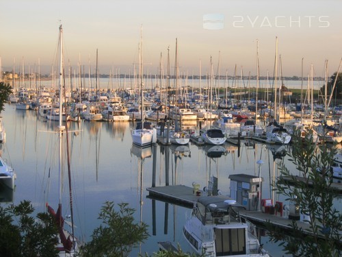 Ballena Isle Marina