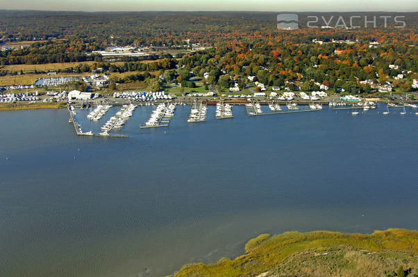 Cedar Island Marina