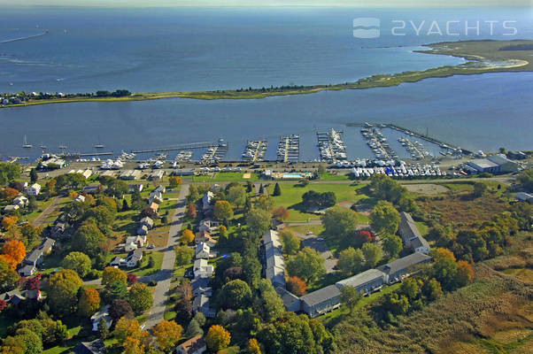 Cedar Island Marina