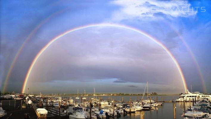 Cedar Island Marina