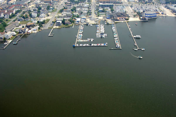 Pier Point Marina