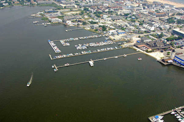 Pier Point Marina