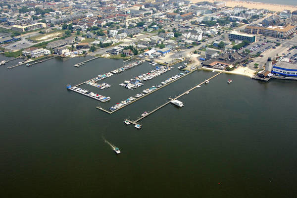 Pier Point Marina