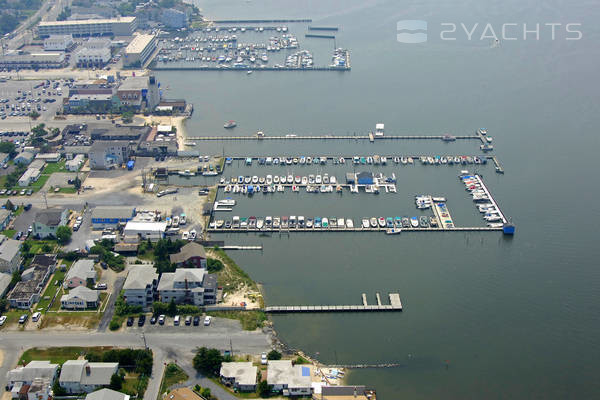 Pier Point Marina