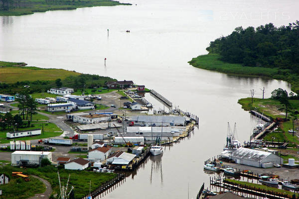 Big Trout Marina