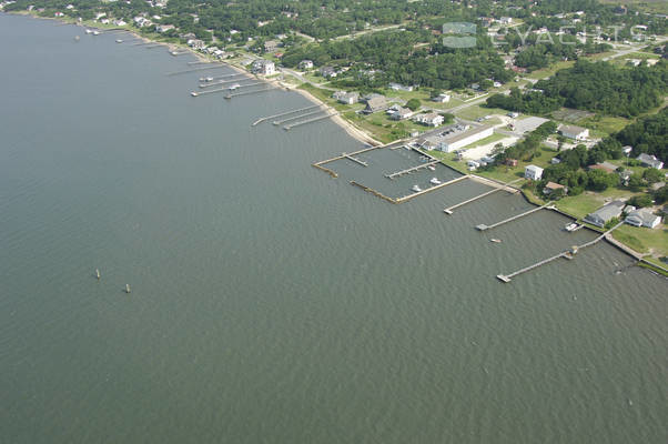 Calico Jacks Marina and Inn