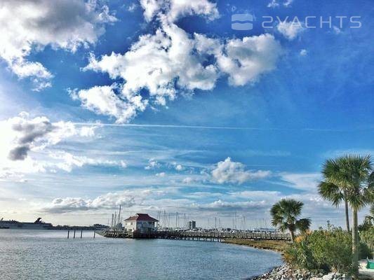 Charleston Harbor Marina