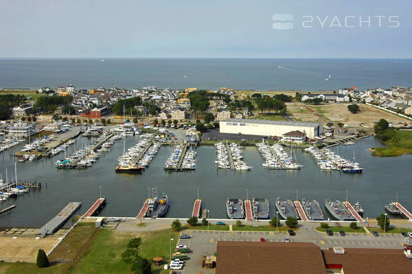 Little Creek Marina