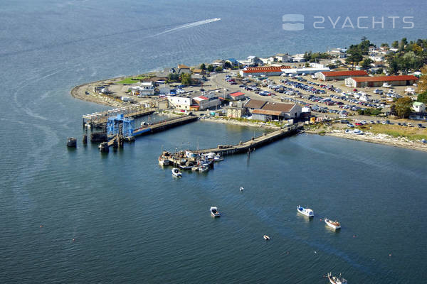 Fisherman's Cove Marina