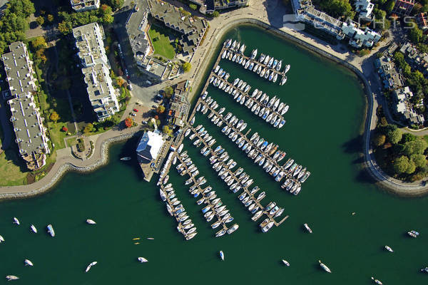 Heather Civic Marina