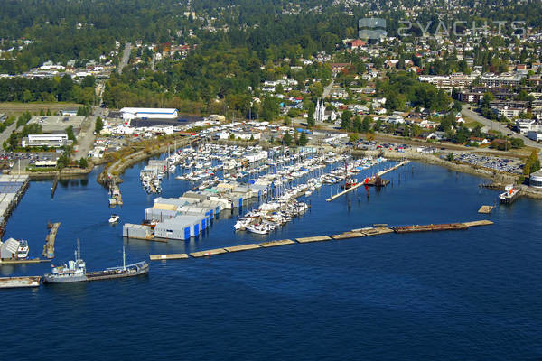 Mosquito Creek Marina