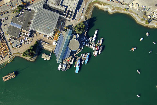 Pacific Boulevard Marina at the Plaza of Nations