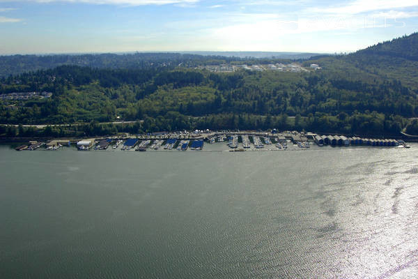 Reed Point Marina