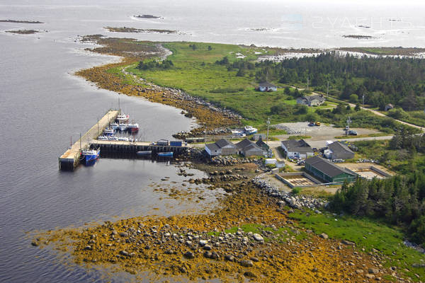 Bear Point Harbour Marina