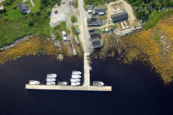 Bear Point Harbour Marina