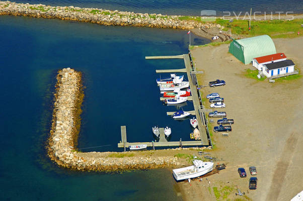 Cape Canso Marina