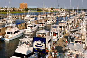 Charleston City Marina