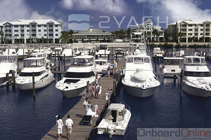 Loggerhead Marina Stuart