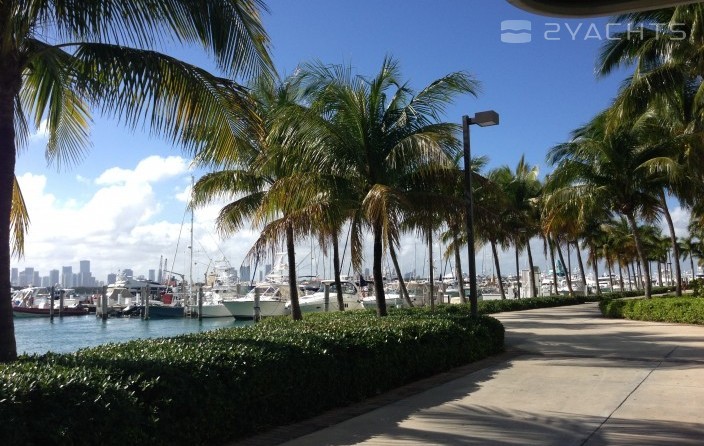 Miami Beach Marina