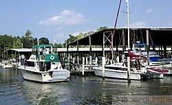 Tolchester Marina