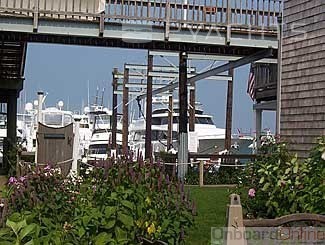 Vineyard Haven Marina