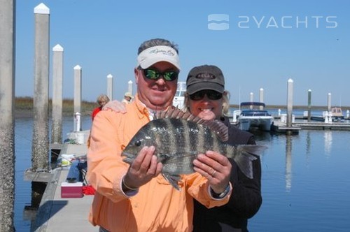 Oyster Bay Harbour Marina