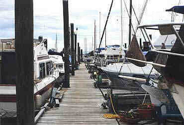 Shelter Island Marina Inc & Boatyard