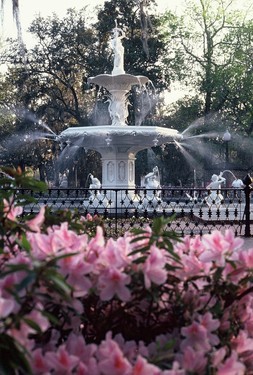 Westin Savannah Harbor Golf Resort and Spa