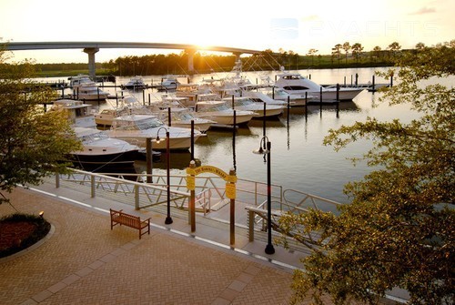 The Wharf Marina