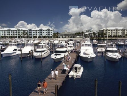 Loggerhead Marina Stuart